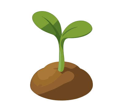 芽のイラスト
